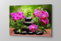 Obraz Zen kamene a orchidea zs1176
